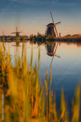 Morning among the windmills in Kinderdijk - one of the most characteristic places in the Netherlands. The beautiful spring adds charm to this place.