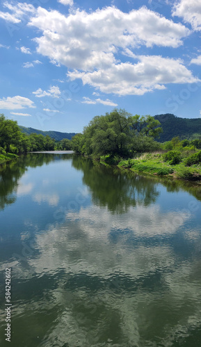 River Uzh near the village of Perechyn  reflection of clouds in the water  spring sunny day in the Carpathians of the Transcarpathian region of Ukraine