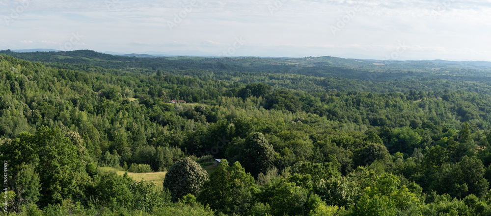 Rural panorama with lush forest and scattered houses, hilly countryside