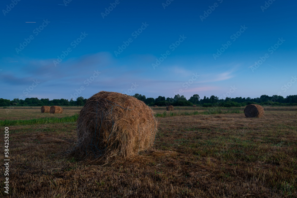 Rolls of hay in field at twilight, roll bales and sky with star trail, rural landscape