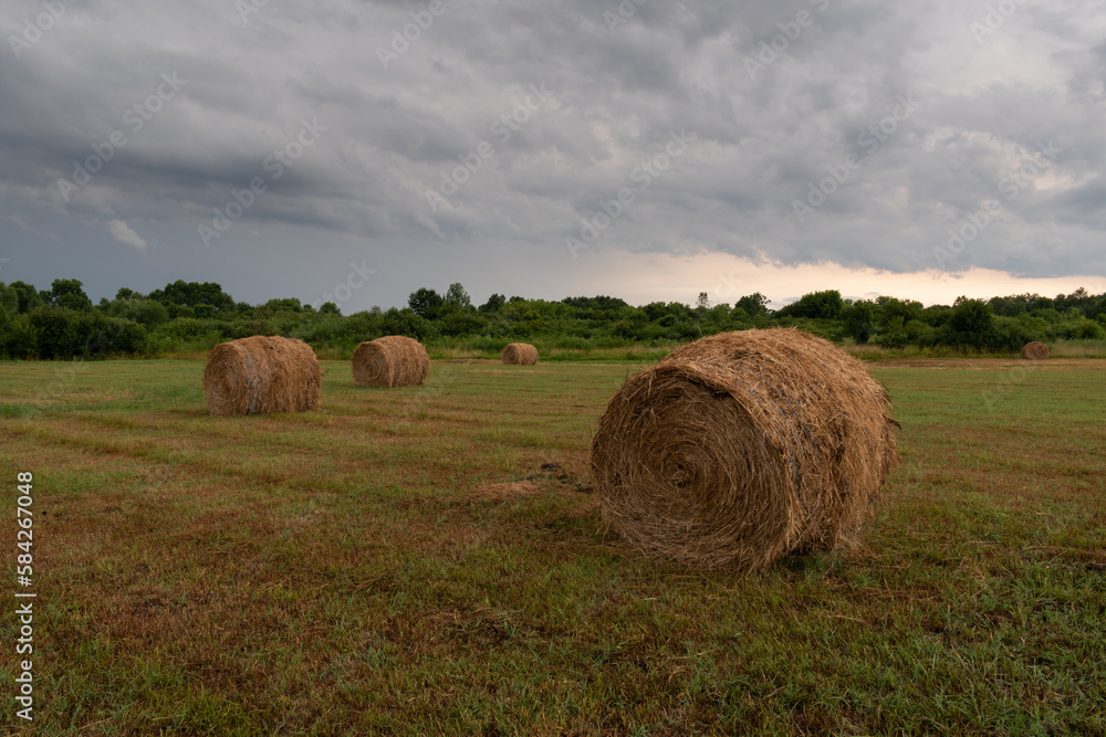 Rolls of hay in field, dried hay in rolls and dark stormy clouds in sky, rural landscape Rolls of hay in field, dried hay in rolls and dark stormy clouds in sky, rural landscape