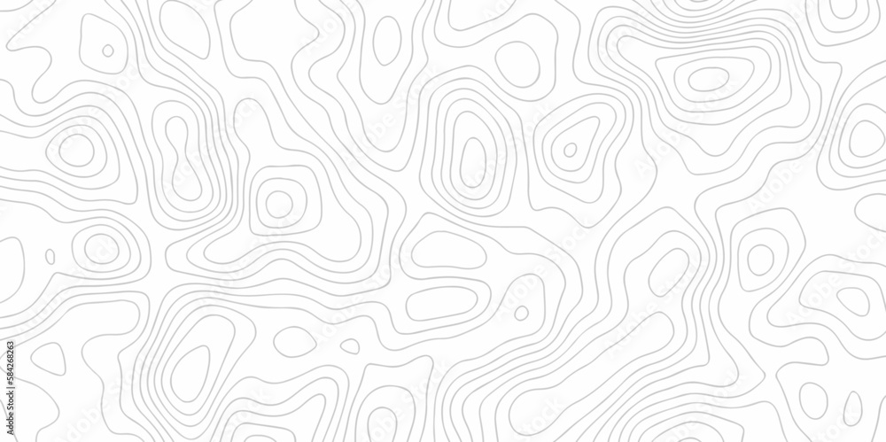 Pattern with lines and Seamless pattern with White wave paper topographic contours map background,curved reliefs abstract background. Topographic map patterns, topography line map. White background.