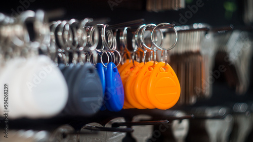 Картината върху платно keys and chips for the intercom