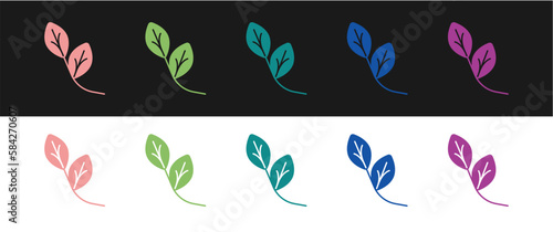 Set Leaf icon isolated on black and white background. Leaves sign. Fresh natural product symbol. Vector