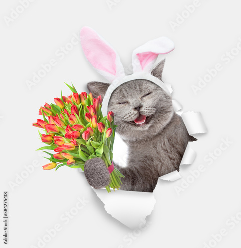Canvas Print Happy kitten wearing easter rabbits ears holds bouquet of tulips and looks throu