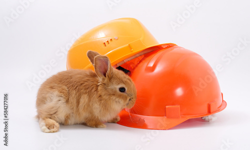 builder's day, symbol of the year easter bunny in a construction helmet on a white background