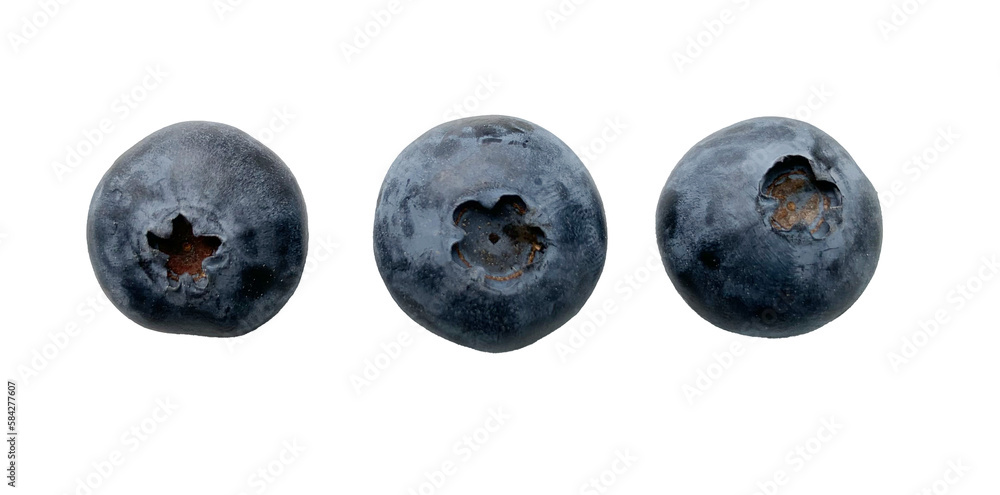 Naklejka premium Blueberry