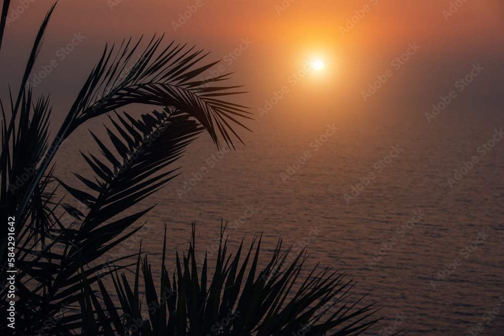 Silhouettes of curved palm leaves against the background of a mysterious misty sunset over the sea. Purple orange background on the theme of rest, travel and vacation
