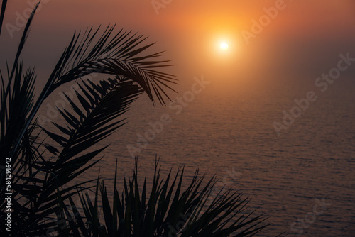 Silhouettes of curved palm leaves against the background of a mysterious misty sunset over the sea. Purple orange background on the theme of rest  travel and vacation