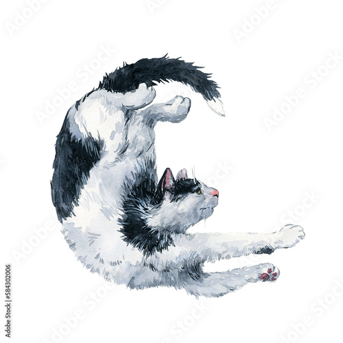 Cute bicolor black and white cat stretching. Watercolor painting isolatedon white background