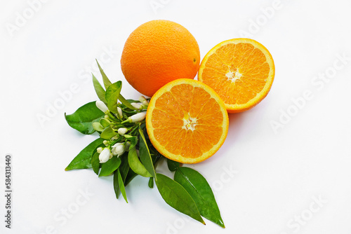 Orange and orange flowers isolated on white background