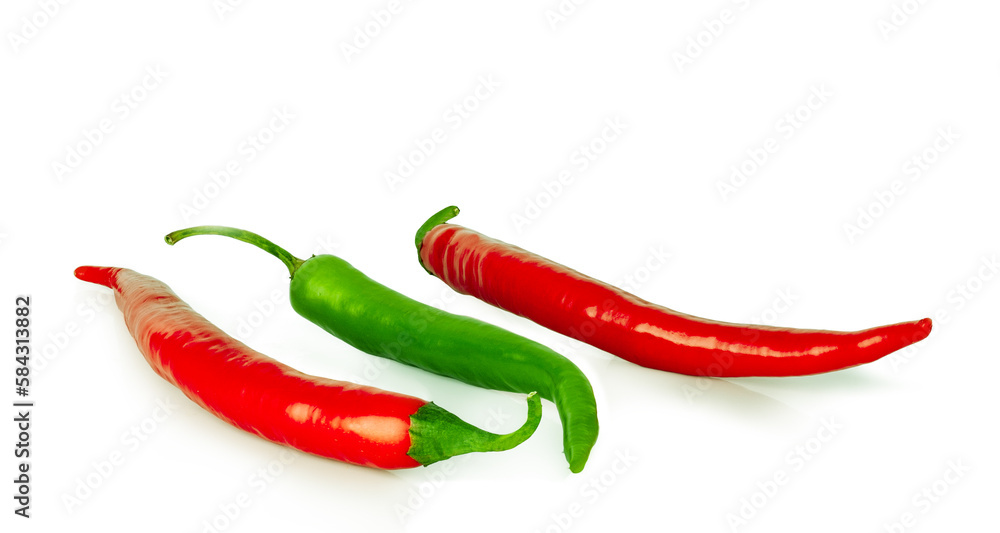 Peppers bitter isolated on a white background