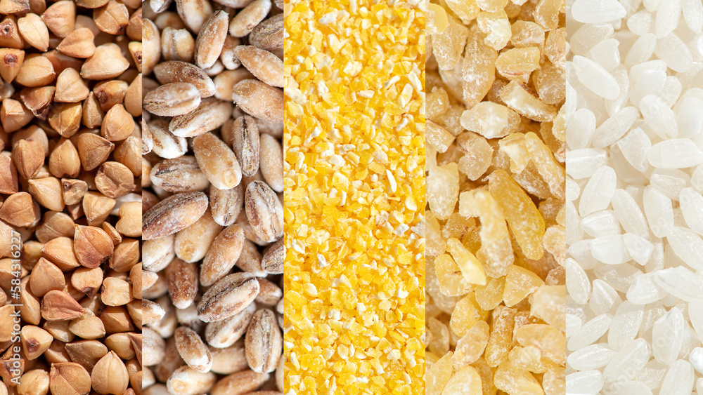Collage of various grains rice, millet, buckwheat, pearl barley, corn