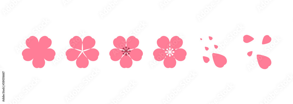 Cherry blossom illustration. Design elements of invitation, frame, banner, greeting card.