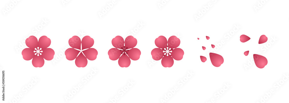 Cherry blossom illustration. Design elements of invitation, frame, banner, greeting card.