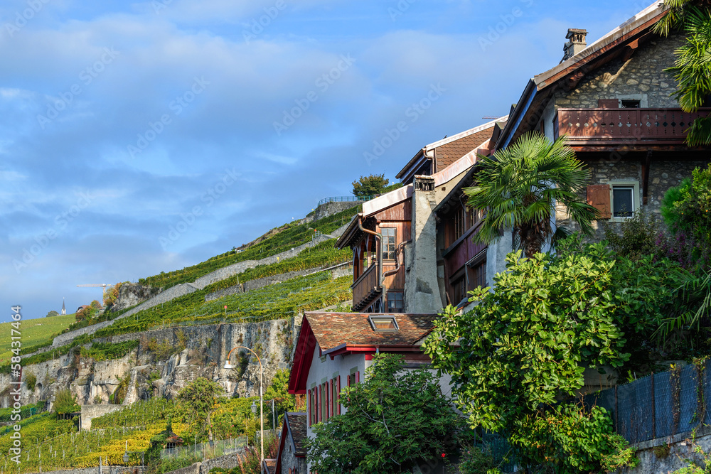 Village dans les vignobles du Lavaux en Suisse 
