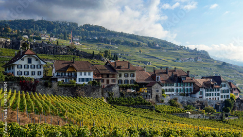 Village dans les vignobles du Lavaux en Suisse  © patrick