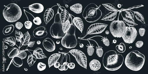Berry and fruit illustrations set on chalkboard. Hand drawn fruit trees - cherry, plum, apple, peach, apricot, raspberry, strawberry in sketch style. Healthy food drawing in vintage style.