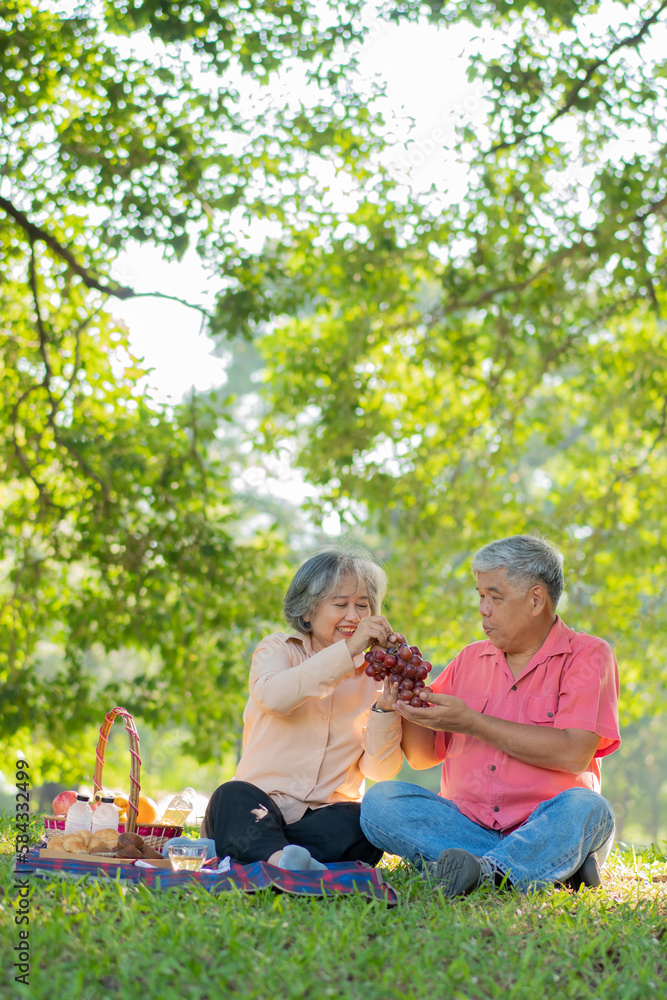 Happy old elderly couple spouses relaxing and sitting on a blanket in the park and sharing few precious memories. Senior couple having great time together on a picnic. concept of mature relationships Happy old elderly couple spouses relaxing and sitting on a blanket in the park and sharing few precious memories. Senior couple having great time together on a picnic. concept of mature relationships