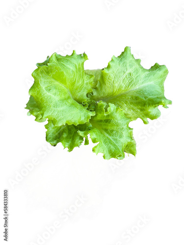 Isolated fresh salad in a vertical view 
