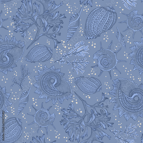 Sea corals and seashells on a  blue background.
