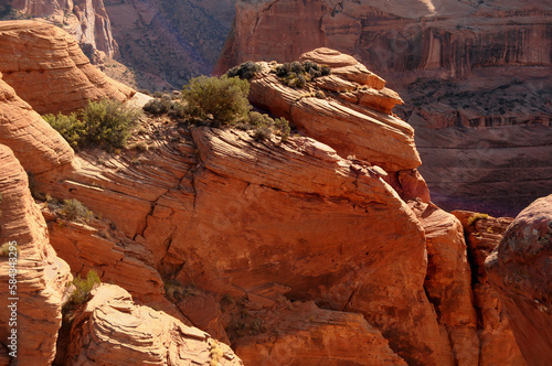 Autumn in The Canyon De Chelly