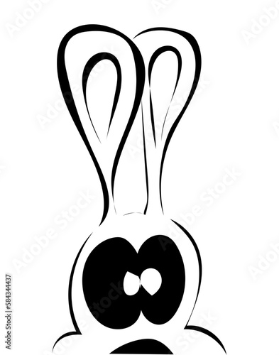 Hase