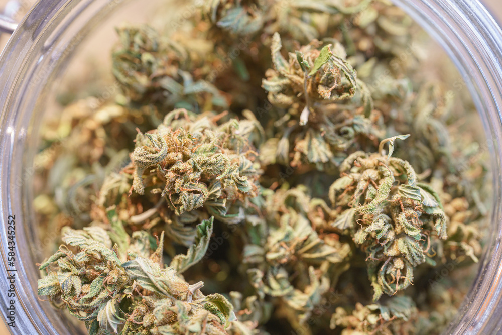 Dry and trimmed cannabis buds stored in a glas jars. Dry and trimmed cannabis buds stored in a glas jars.