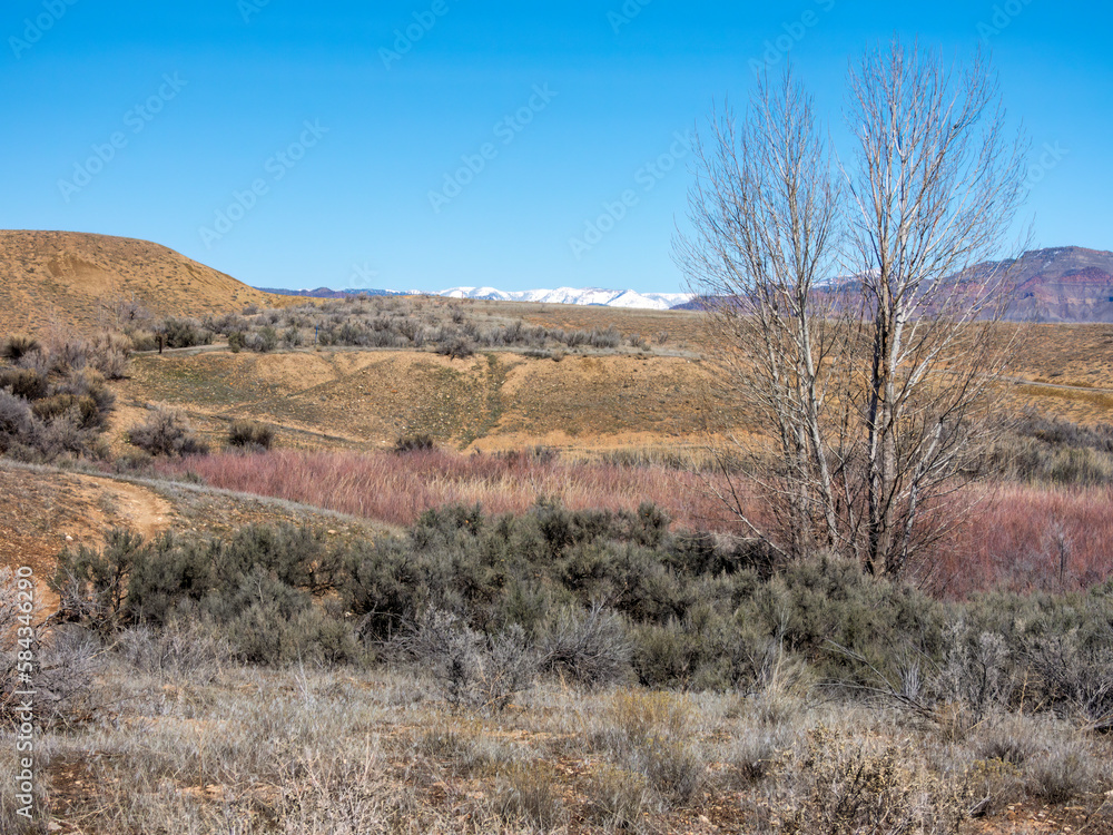 View of the snowy Bookcliffs in western Colorado after a spring storm View of the snowy Bookcliffs in western Colorado after a spring storm