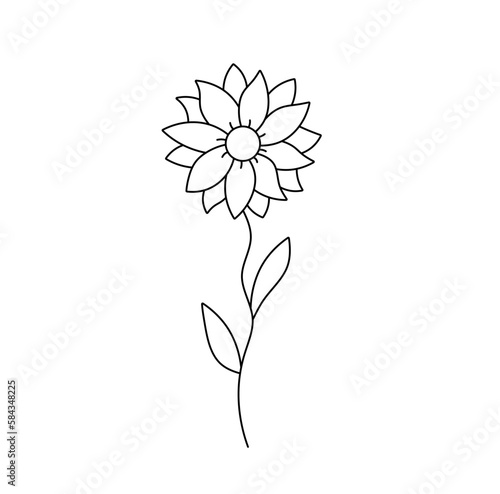 Vector isolated one single simplest flower with petals on a stem aster or sunflower colorless black and white contour line easy drawing