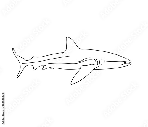 Vector isolated one single swimming shark side view  colorless black and white contour line easy drawing