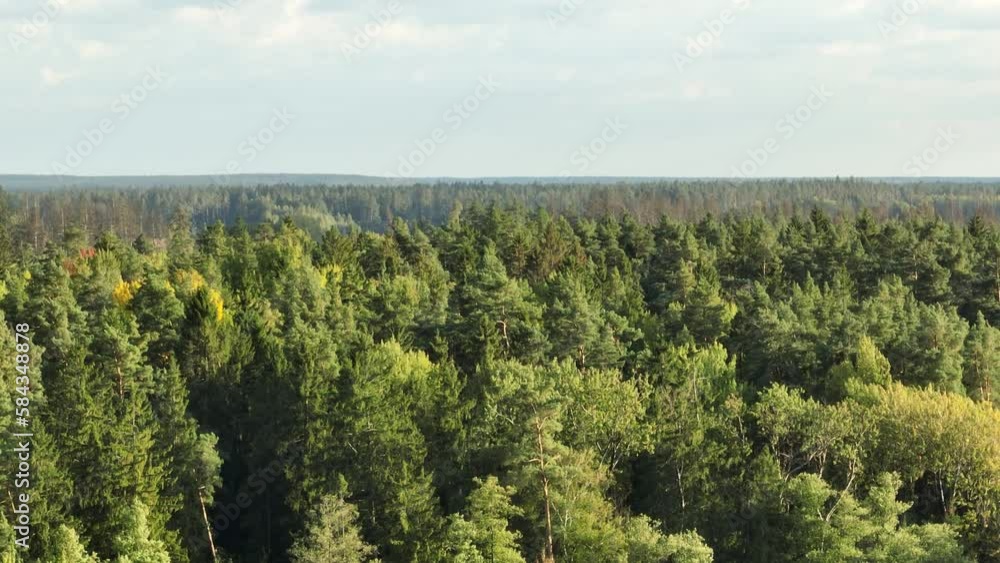 Aerial view of a beautiful green forest Aerial view of a beautiful green forest
