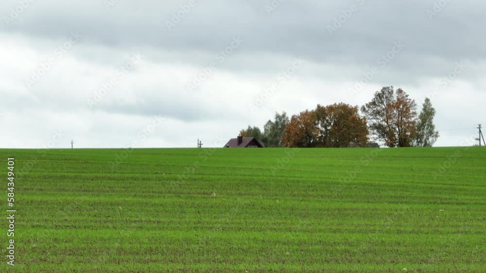 Summer countryside landscape with a green field and a rural house. Summer countryside landscape with a green field and a rural house.