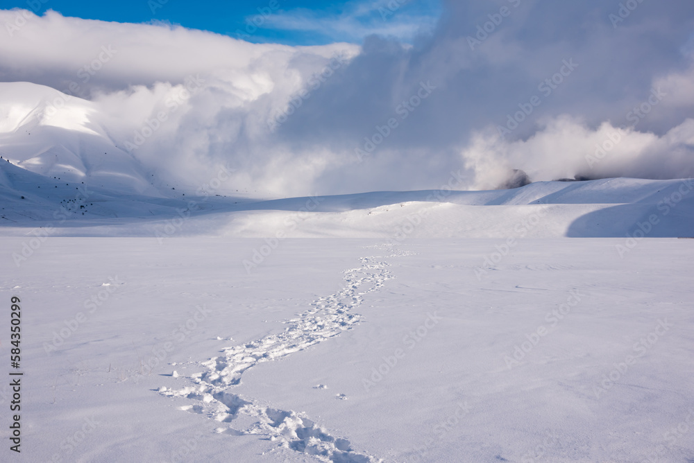 Winter landscape, footprints path in snow valley in bright sunny day Winter landscape, footprints path in snow valley in bright sunny day