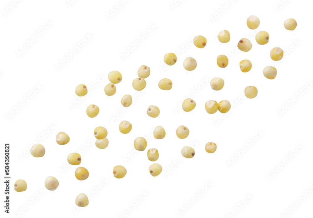 Set of millet flies on a white. Isolated Set of millet flies on a white. Isolated