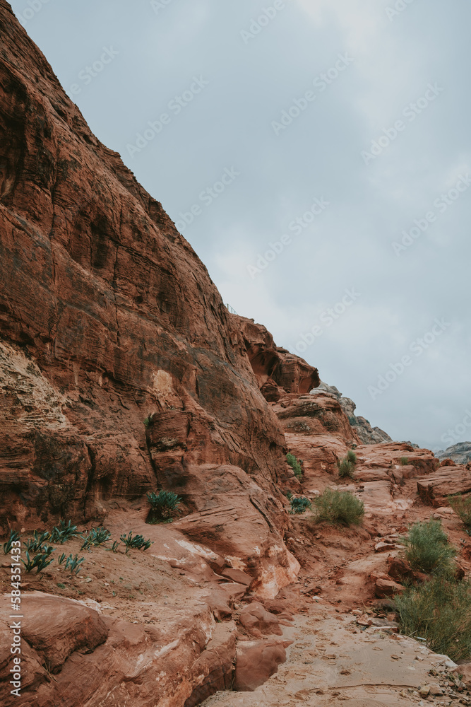 Fototapeta premium red rock canyon
