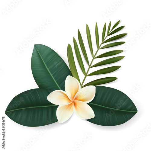 Vector tropical leaves and plumeria flower composition isolated on white background