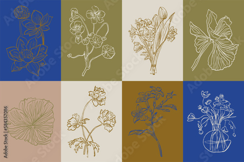 Botanical vector illustration set. Art for postcards, wall art, banner, background, branding