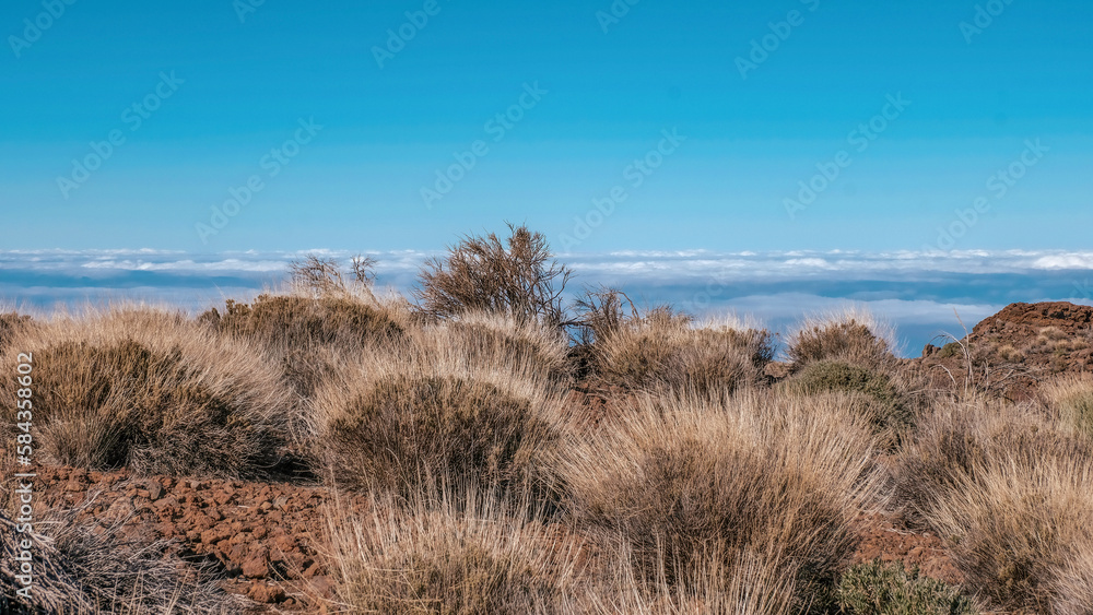 Im Teide- Nationalpark auf Teneriffa Panorama- Aufnahme vom Wolkenmeer in der Caldera Im Teide- Nationalpark auf Teneriffa Panorama- Aufnahme vom Wolkenmeer in der Caldera