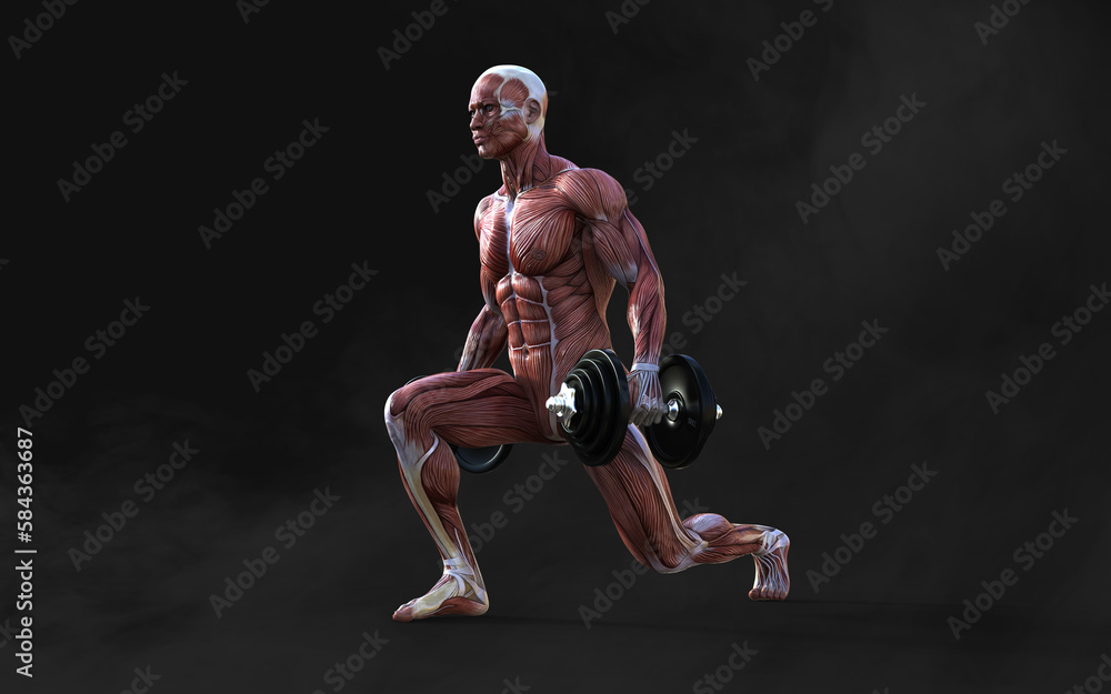 3d Illustration of a muscular man figures pose with skin and muscle map on dark background with clipping path, Concept of bodybuilder pose.