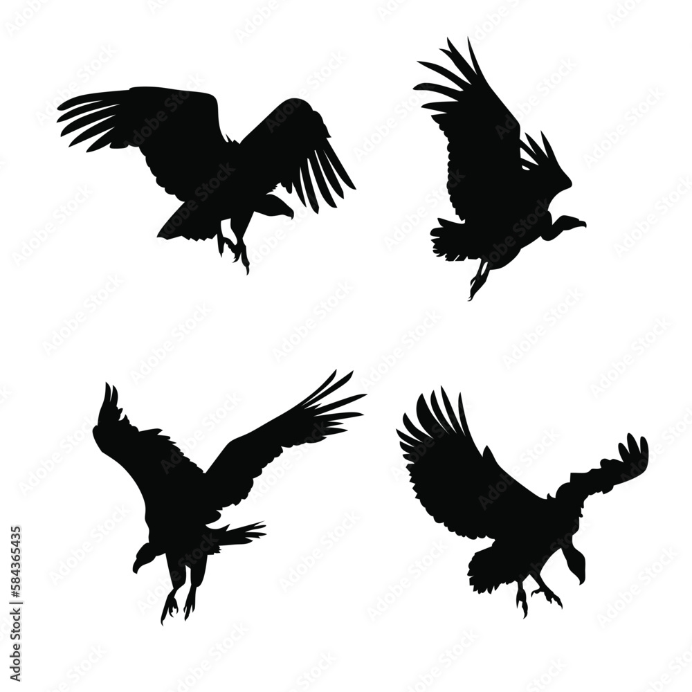 Obraz premium the vulture