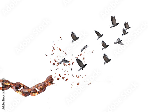 Canvas Print chain isolated rusty breaking  free freeing birds flying on the sky