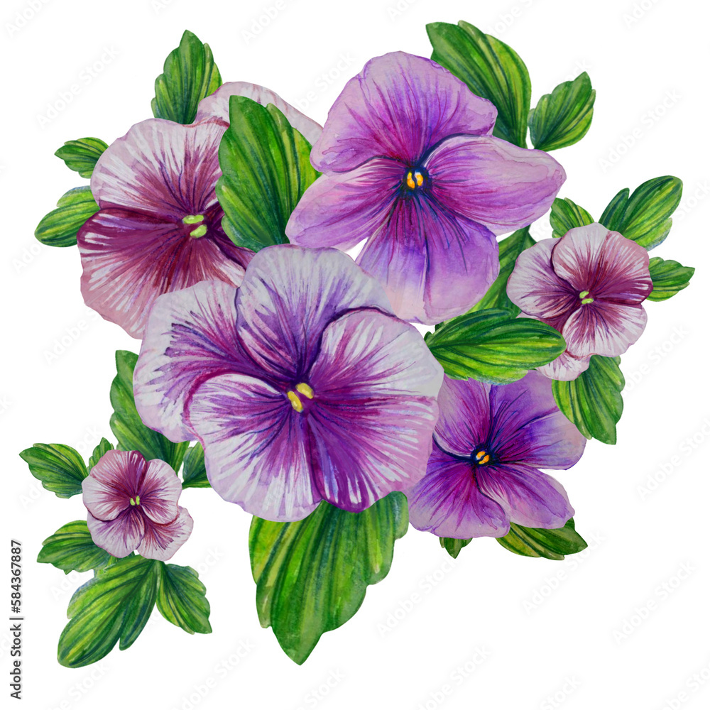 bouquet of purple pansies watercolor illustration bouquet of purple pansies watercolor illustration