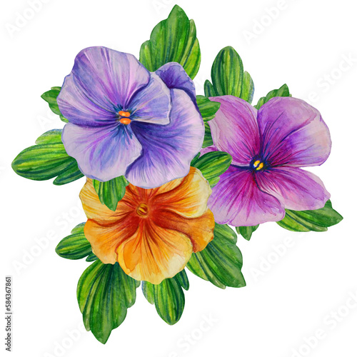 group of pansy flowers watercolor illustration