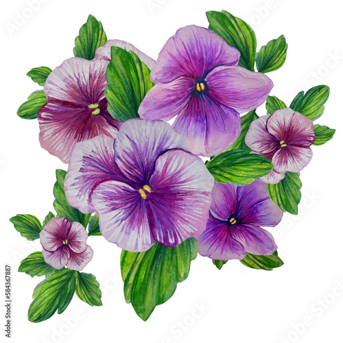 bouquet of purple pansies watercolor illustration