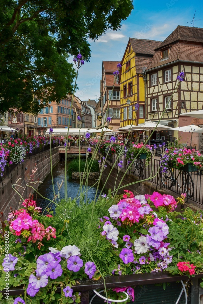 Vertical shot of the view to the canal and colorful houses in Colmar, France