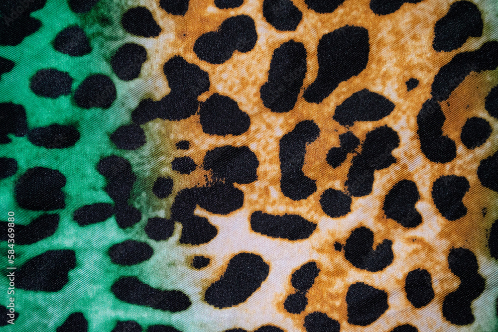 Color Animal print modern background Color Animal print modern background