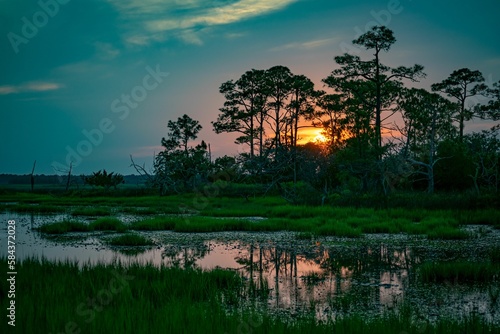 Beautiful shot of swamps surrounded by trees during sunset in South Carolina Marsh