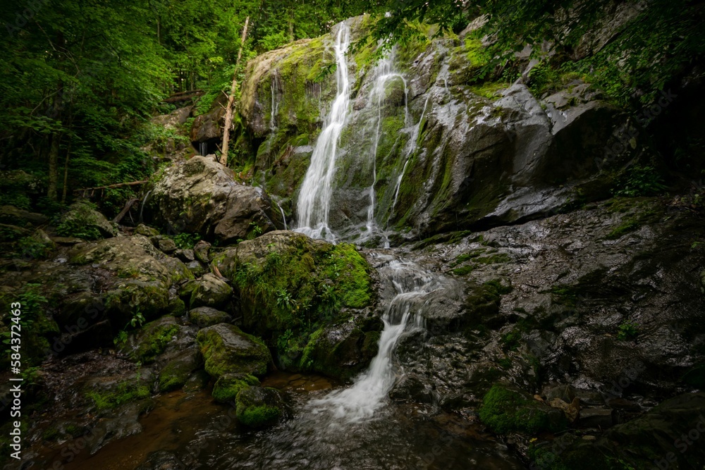 Scenic view of a waterfall in Shenandoah National Park in Virginia