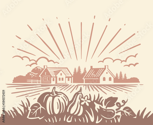 Pumpkin harvest landscape. Autumn Harvest